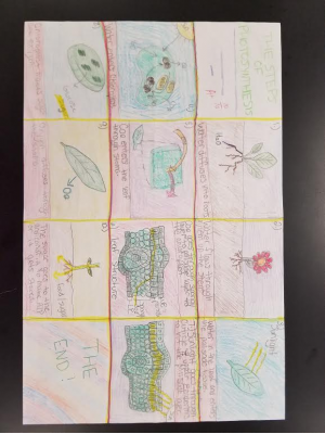 8.6 photosynthesis poster SAMPLE.jpg